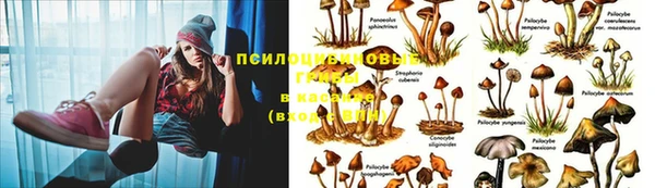 марихуана Галич