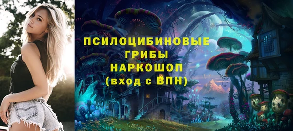 дживик Алексин