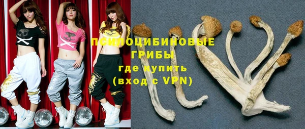 a pvp Алзамай